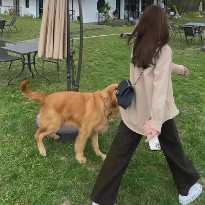 人生大逆转